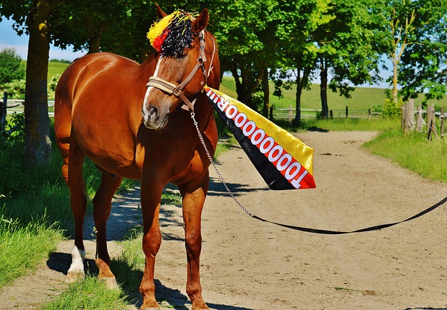 室内跳伞的 室内跳伞的