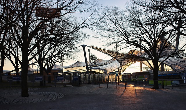 篮球场上 篮球场上