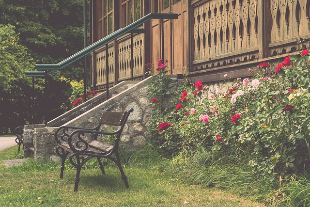 输了比赛 输了比赛