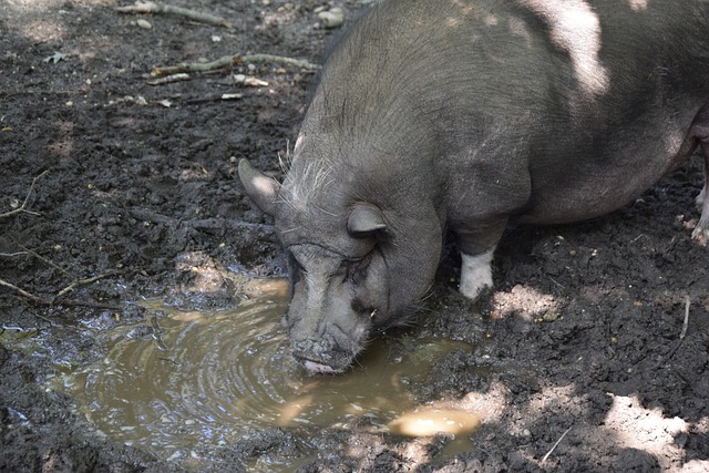 来了一些 来了一些