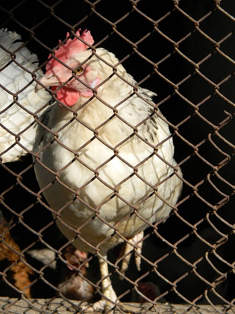 的专注和协 的专注和协