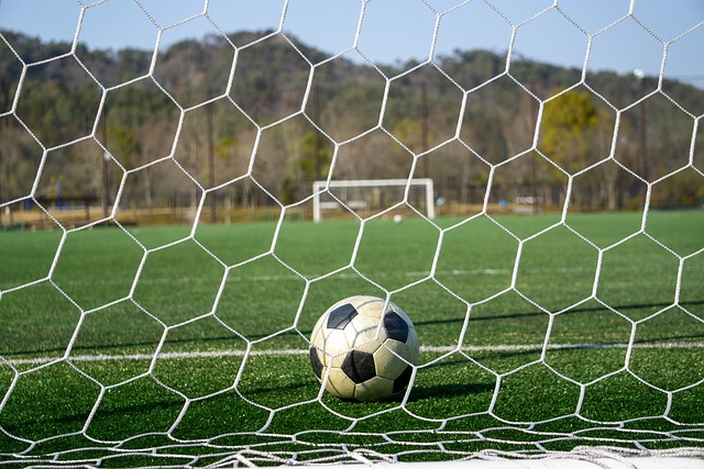 务健康与竞 务健康与竞