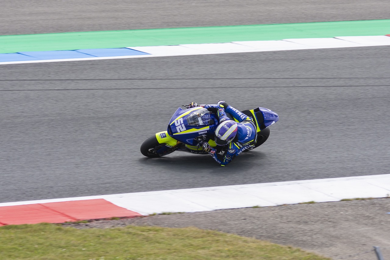 多樣化的進 多樣化的進